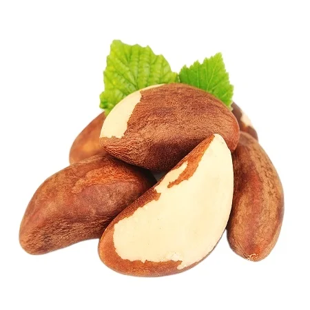 Top quality delicious brazil nuts on sale