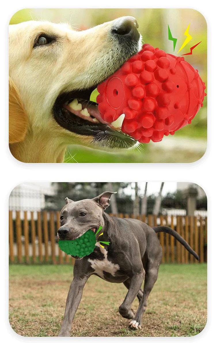 Dog Supplies Bite Resistant Rubber Chew Toys Pet Toys Sound Ball Long Lasting Dog Chew Toys