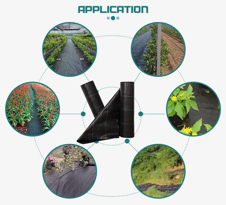 Garden Ground Cover Fabric / Weed Barrier Mat / Plastic Pp Anti Weed Agro Weed Control Buy
