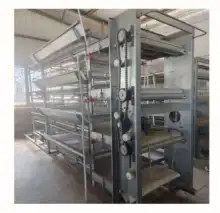 Supply Completely Automatic Laying Hen Egg Layer Battery H Type Chicken Cages System