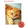 colorful Round Drill