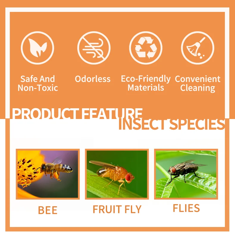 SAIJZEK New Fruit Fly Gnat Pests pumpkin Fly Catcher Indoor Trap Bug Zapper Sticky Wasp Trap House Reusable Flying Insect Killer factory