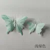 8 cm di larghezza, verde