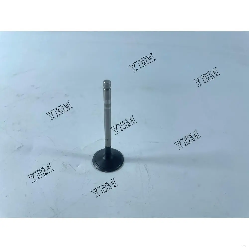 Original Factory Quality OEM 3TNM68 Intake Valve 119125-11100 for Yanmar