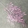 10 # luce viola