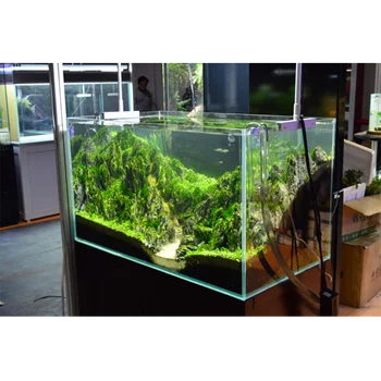 UNS 60U - 20 Gallon Ultra Clear Rimless Aquarium — Buce Plant