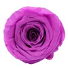 Pink purple