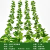 Evergreen ivy leaves (2 leaves per pack)