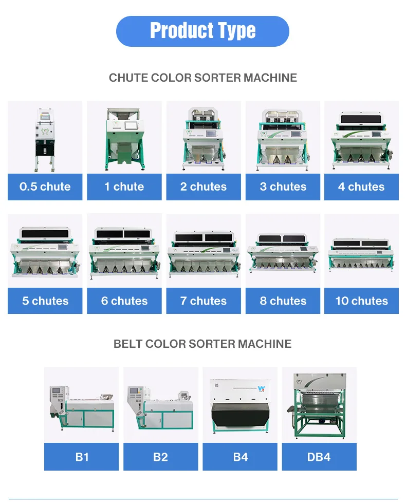 Nut Processing Equipment Color Sorter With CCD Camera LED Light