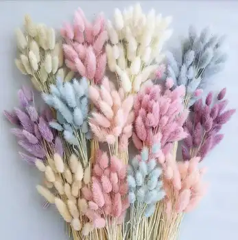 Factory Supply Wholesale Long Lasting Flowers Hare's Tail Dried Bunny Tail Flower for Indoor Decor
