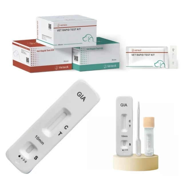 Rapid Diagnostic Test Kit for Giardia and Leishmania in Dogs Veterinary Equipment for Canine Pet Animals