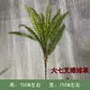 Big Seven-Forked Green Grass