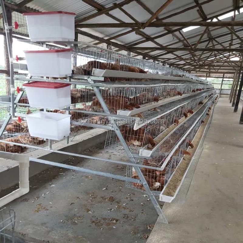 Galvanized Battery Chicken Cages Sold to Distributors in Mozambique