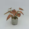 ceramic pot P240500-33
