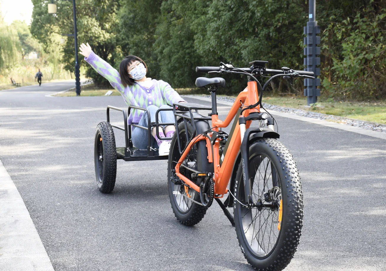 Factory Price Big Trailer With Fat Tire 20*4.0 Beach Trailer Bike