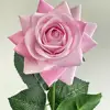 04-Rosa claro