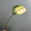 Silicone rouge irlandais main-blanc et vert