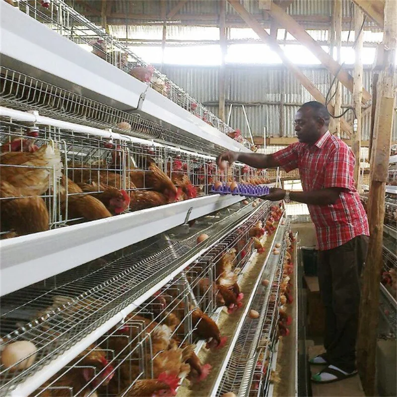A Type Battery System 3 Tier 120 Layers Chicken Cage for Sale in Nigeria