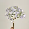 Pourpre