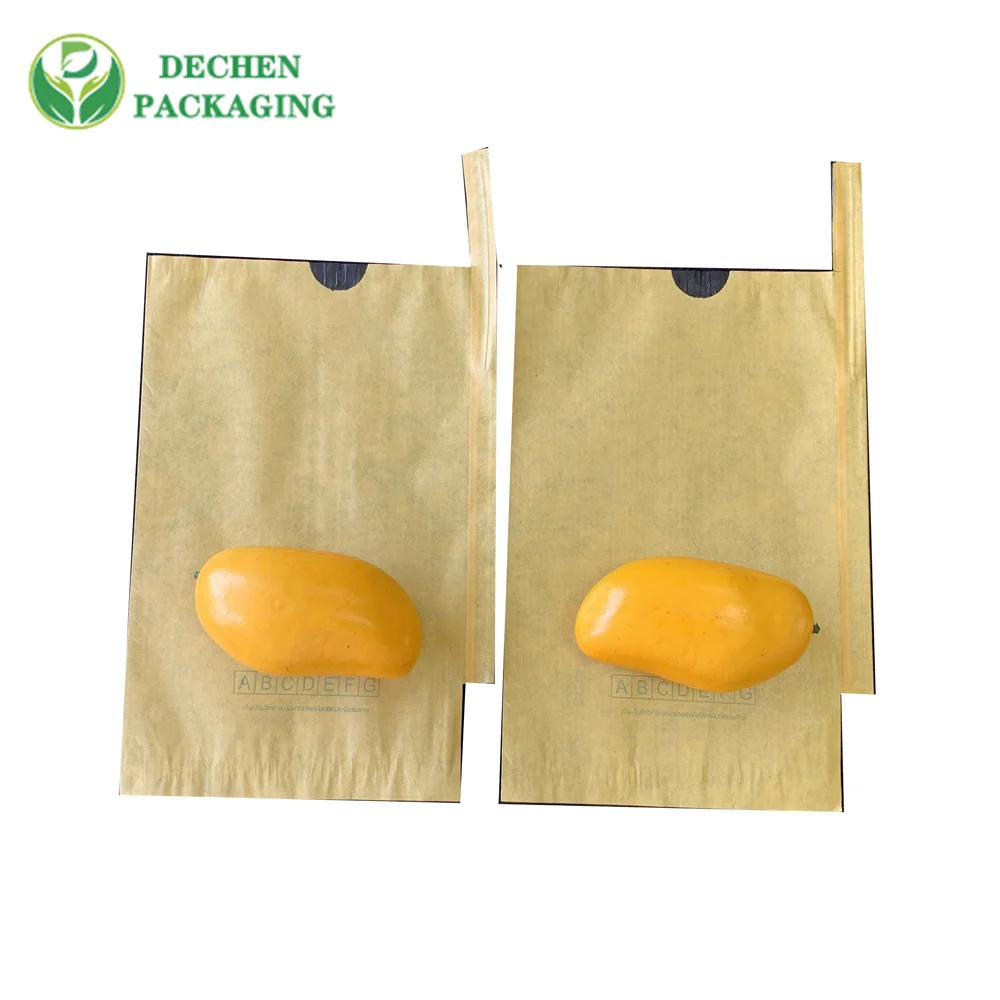 Loquat met en sac la protection de fruit pour le sac de papier de couverture de culture de raisin