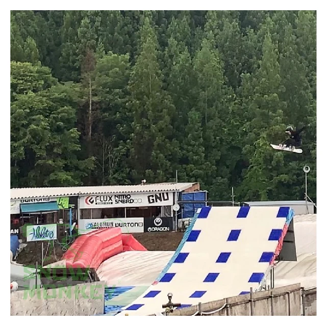 SnowMonkey Trockenskipiste mit Nadeln und Pilzstruktur fr knstliche  Schneepisten und Trockenskimatten