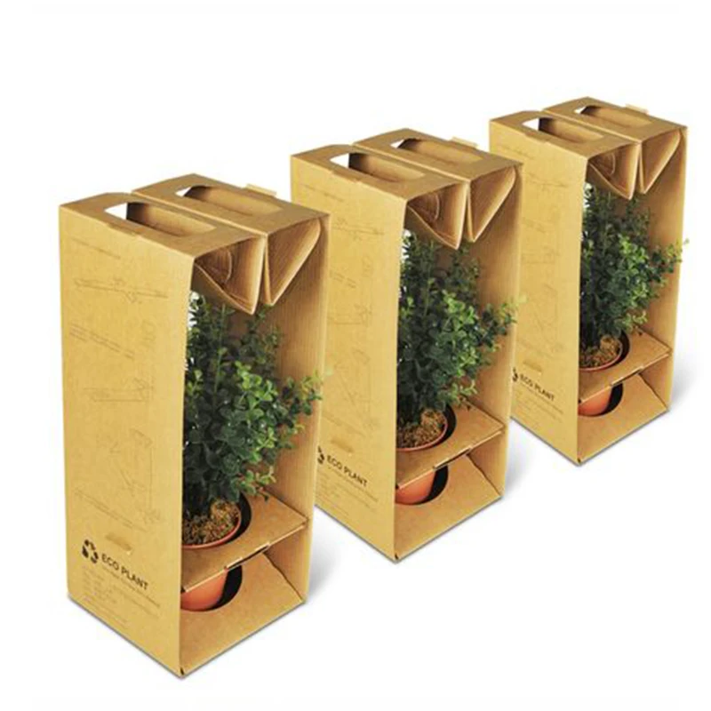 Recycled Rectangle Flower Custom Size Printing Live Corrugated Packaging Potted Indoor Plant Paper Boxes