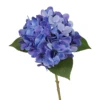 Purple 1