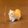 No.11 Mankikang è corto