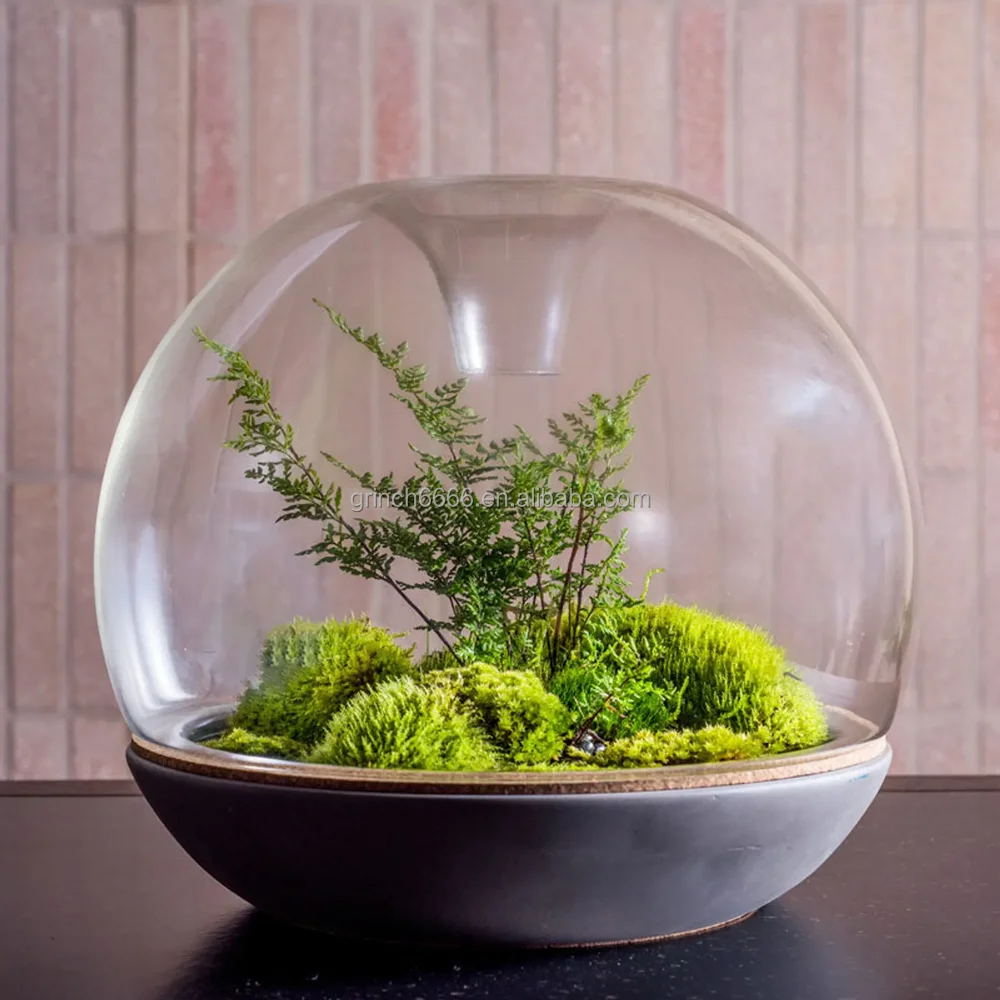 テラリウムジャーマウスブロー幾何学的ホウケイ酸ガラス植物テラリウム