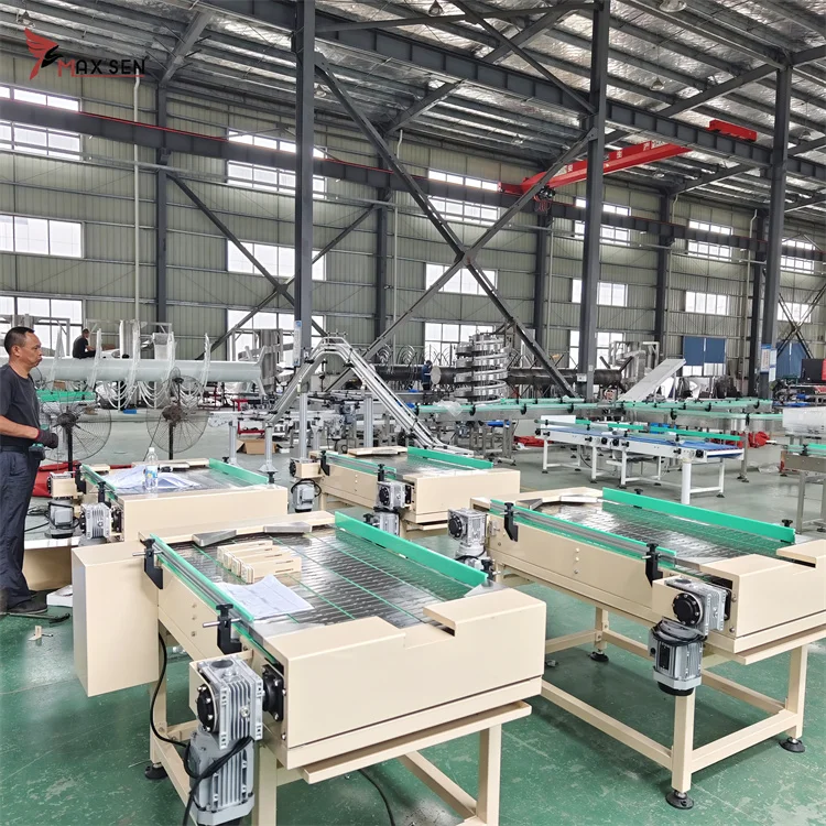 Maxsen Customizable Classic Top Chain Conveyor High Quality POM Material Belt with New Motor for Food Storage Transportation