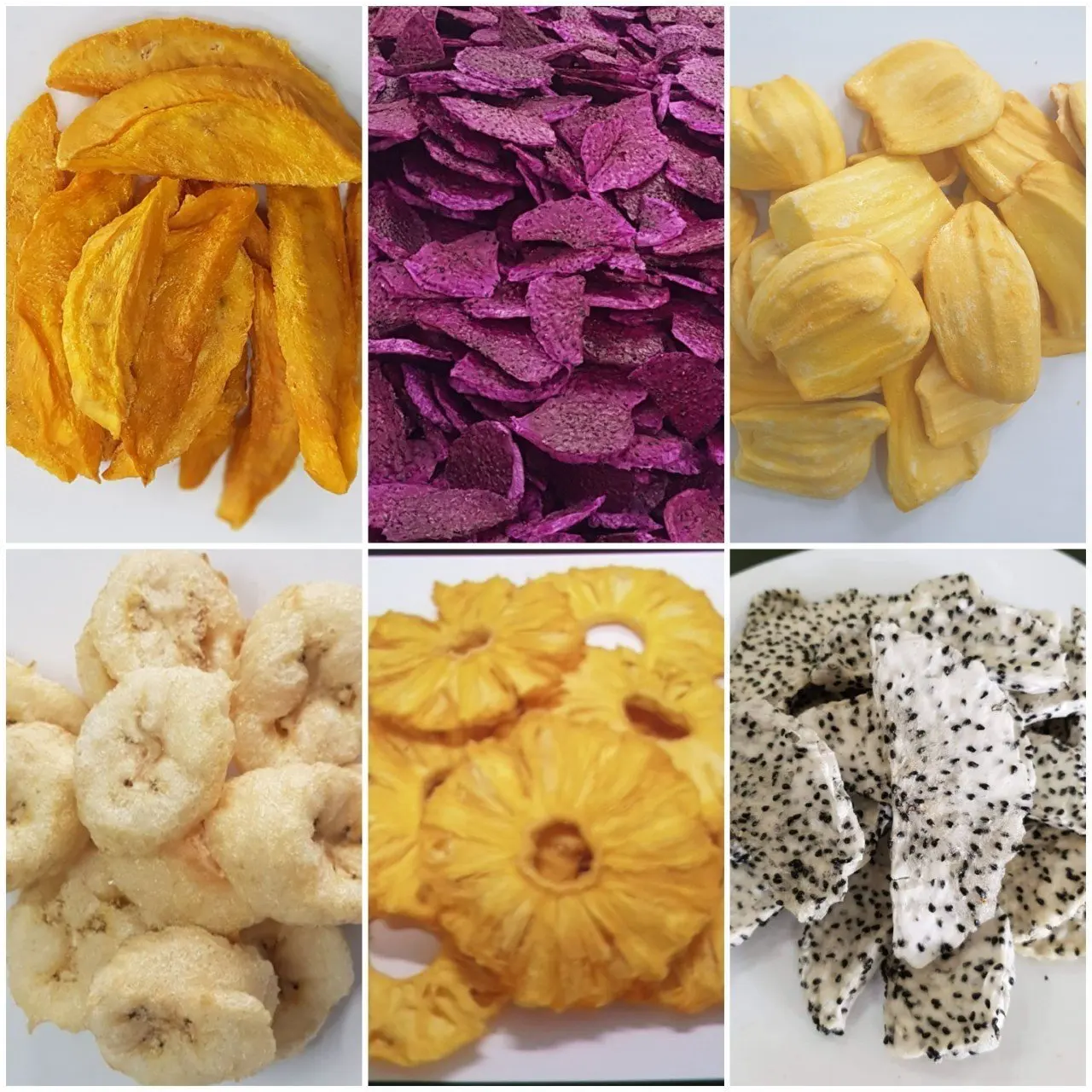 High Quality Dried Dragon Freeze Fruit Sliced Hot Price Ad Bulk Vacuum Pack Packaging 100 Fresh