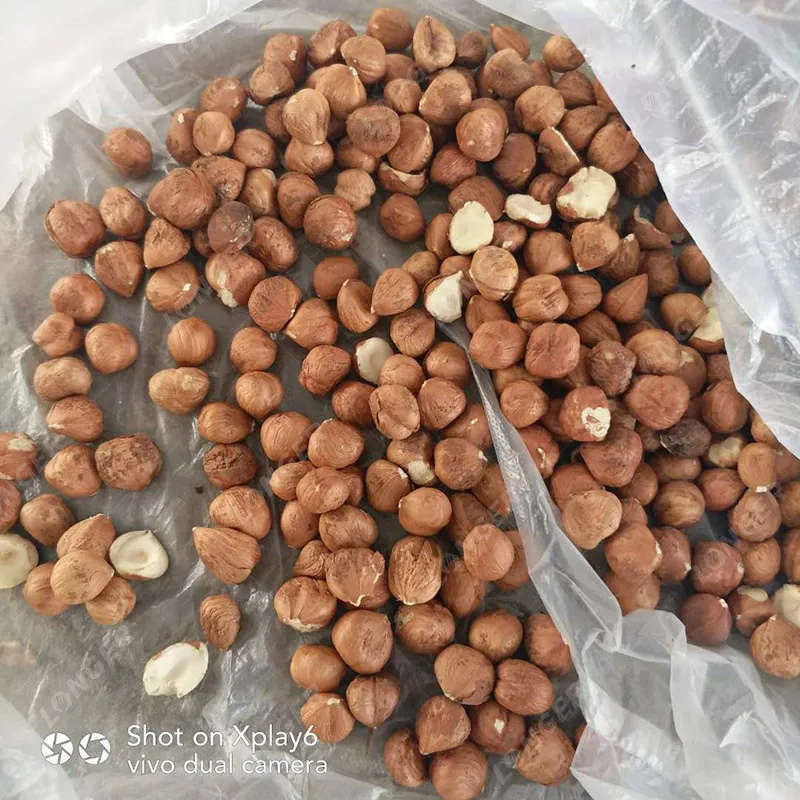 Automatic Palm Kennel Nut Cracker Machine Apricot Kernels Shell Breaking and Separating Hazel Nut Shelling Machine