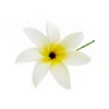 PRF-231 Blanc