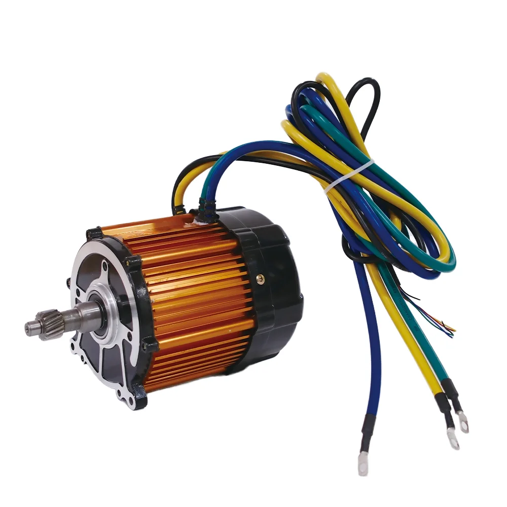 60V 1000W Electric Rickshaw Motor Brushless DC Motor with Waterproof  Construction for Asia Market