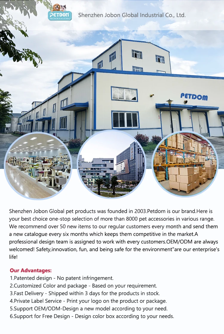 Petdom Pet 6l Smart Cat Feeder Wifi Mobile Phone App Remote Control Dog