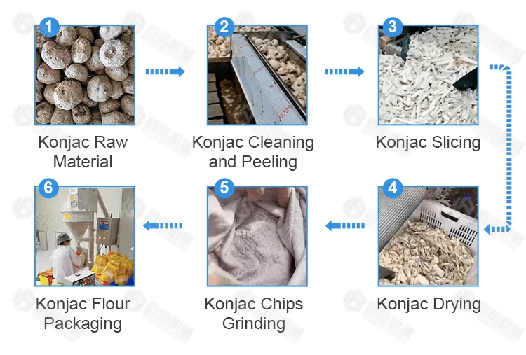 Large Scale Cassava Flour Konjac Powder Processing Machine Equipment