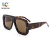 C2 Tortoiseshell