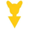 yellow Long-eared dog