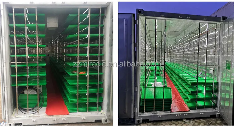 Shipping Container Hydroponic Fodder Farm System for Cow, Sheep ...