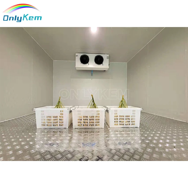 Easy-to-Operate Cold Storage Warehouse Flower Cold Room Refrigerated Grow Room Coolers
