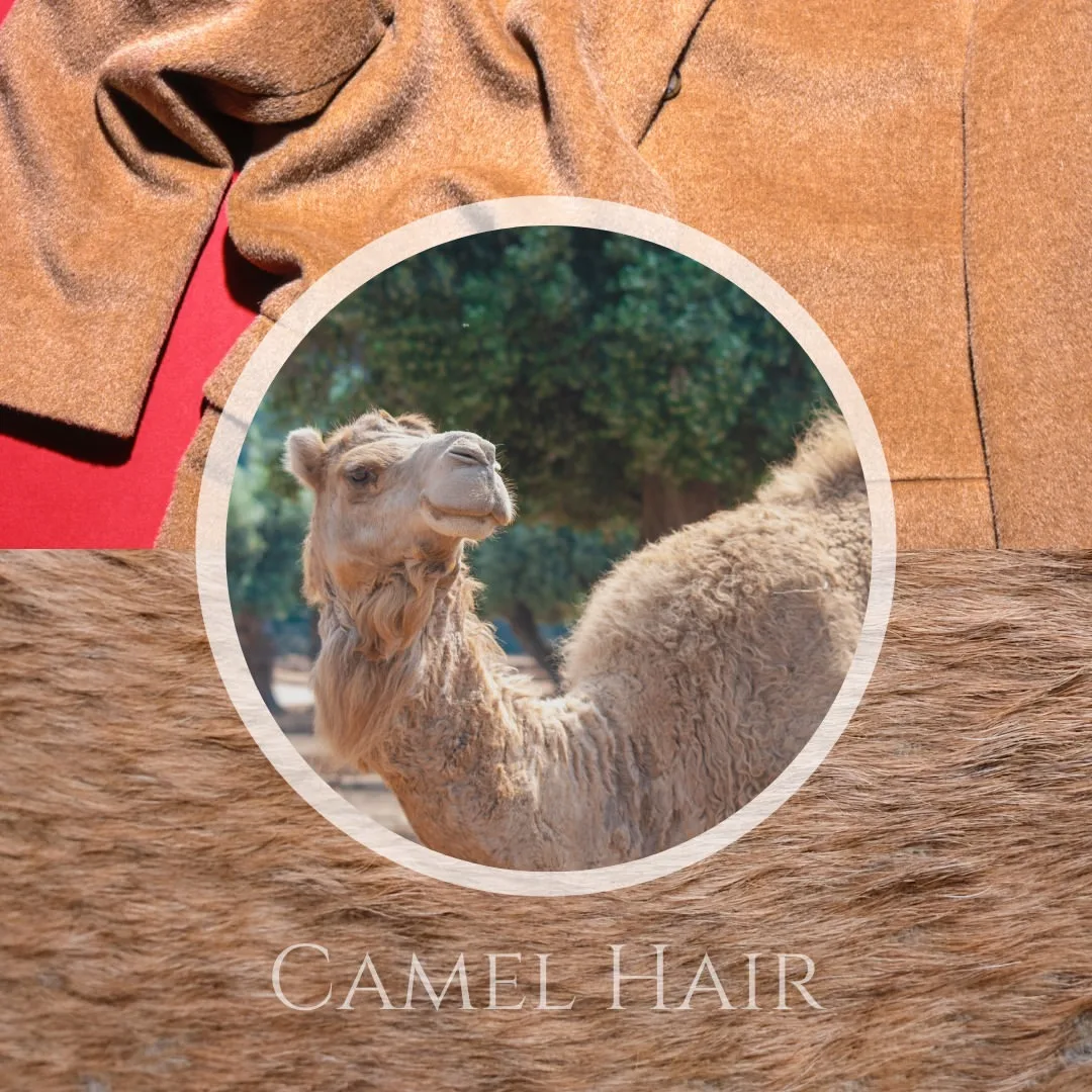 New Arrive 100camel Hair Fabric Crease Resist Camelhair Fleece Suiting