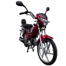 50cc-125cc Moped AutoMatic Cub Motorcycle