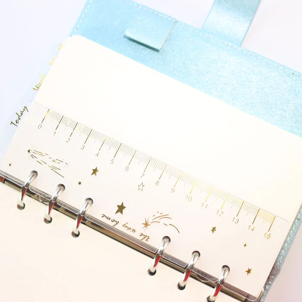 Luxylei A6 Lineal & Lesezeichen, 2 Stück, Pink | 6-Loch Für Ringbuch, Als Seitenmarker & Zum Messen