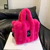 Rosa rosa