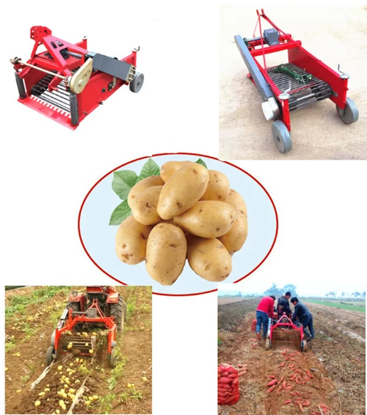 Tractor Potato Harvester/Radix Isatidis Excavator/Sweet Potato Digger