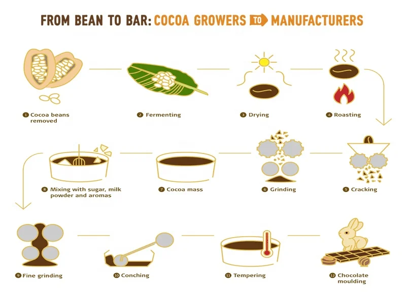 SSS304 Material Automatic Cocoa Beans Winnowing Machine