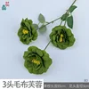 3-headed fuzzy hibiscus BD green