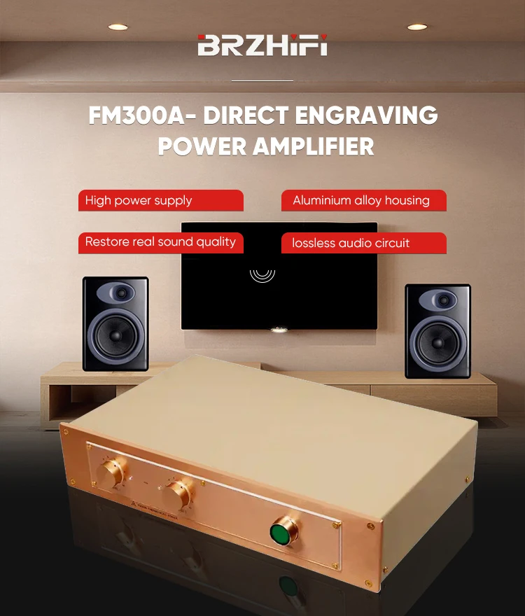 BRZHIFI Audio FM300A 99.9% Clone FM Acoustics Classic Famous Hifi Power Amplifier Audiophile Stereo Amplifier 2 Channel Home Amp manufacture