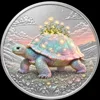 Tortoise