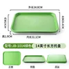 Rectangular Pequeño 1014 Verde